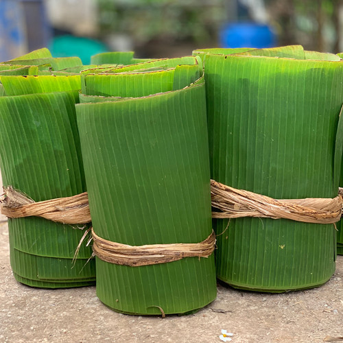 广西芭蕉叶新鲜大蕉叶