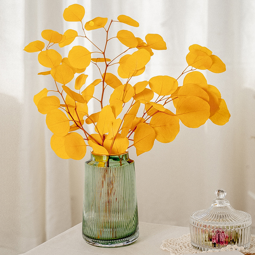 苹果叶ins桉树尤加利摄影永生花