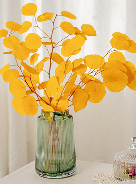 永生花尤加利苹果叶干花花束ins家居装饰摆件桉树尤加利摄影道具