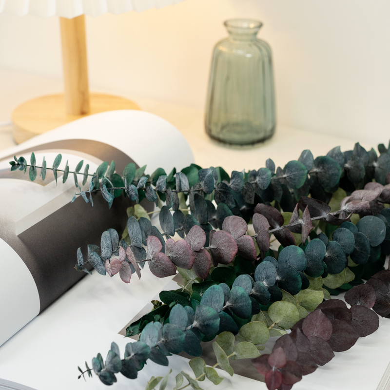 永生尤加利叶干花花束铜钱按尤加利网红永生花干花diy插花花材