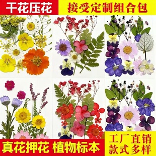干花diy材料包永生花压花片书签押花真花植物树叶标本透明瓶子