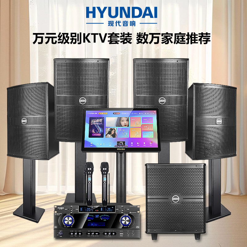 现代家庭KTV音响套装功放家用影院K歌点歌机12寸专业高端音响设备