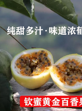 这个黄金百香果纯甜多汁果香浓郁