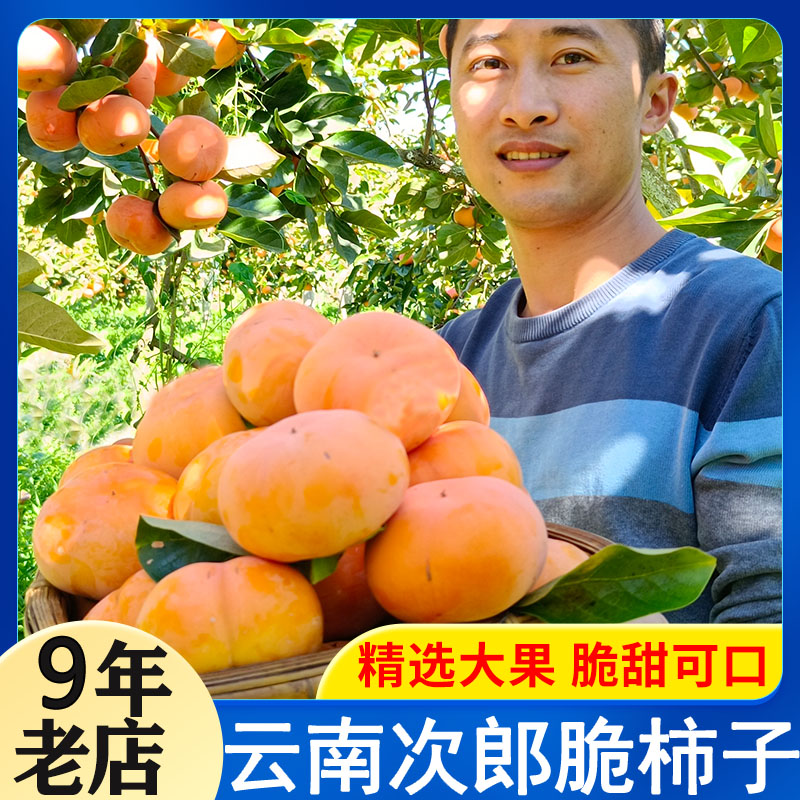 山姆次郎云南腾冲甜脆柿多汁爽口