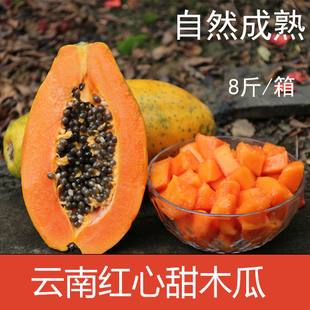 现货 云南红心木瓜新鲜水果包邮牛奶木瓜树上自然成熟8斤装