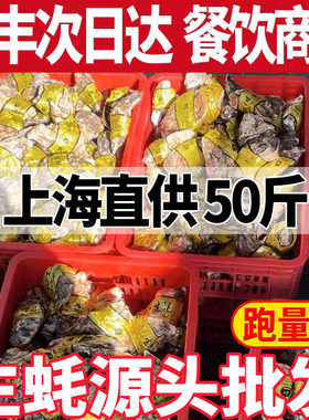 鲜活山东生蚝批发100/50斤海蛎子牡蛎餐饮烧烤摆摊高压锅生蚝