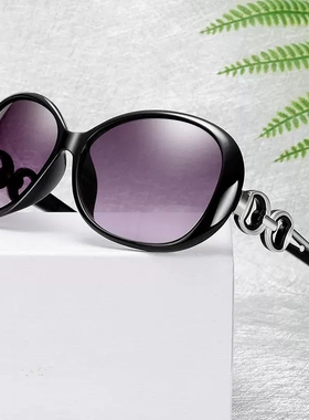 新款韩版ins风时尚户外驾驶墨镜女跑江湖地摊大框经典双环太阳镜