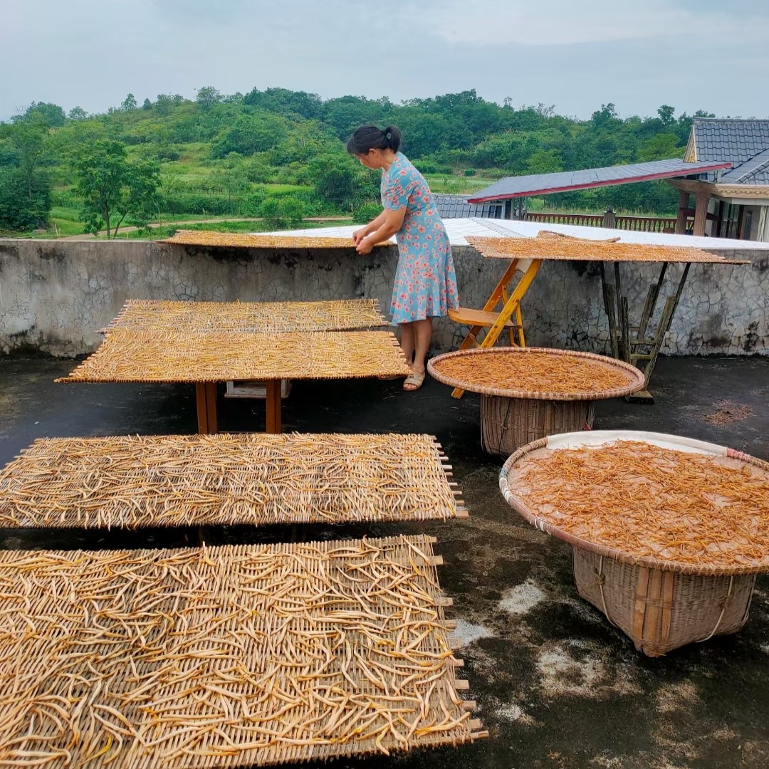 湖南祁东特级农家天然土特产干货金针菜黄花菜原菜无硫无任何添加