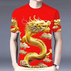夏季龙年男士新款夏天爆款网红抖音快手印花T恤短袖中国休闲圆领