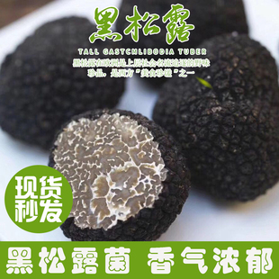 特级成熟新鲜黑松露菌野生1000g松茸干片正宗云南猪拱菌块菌礼盒