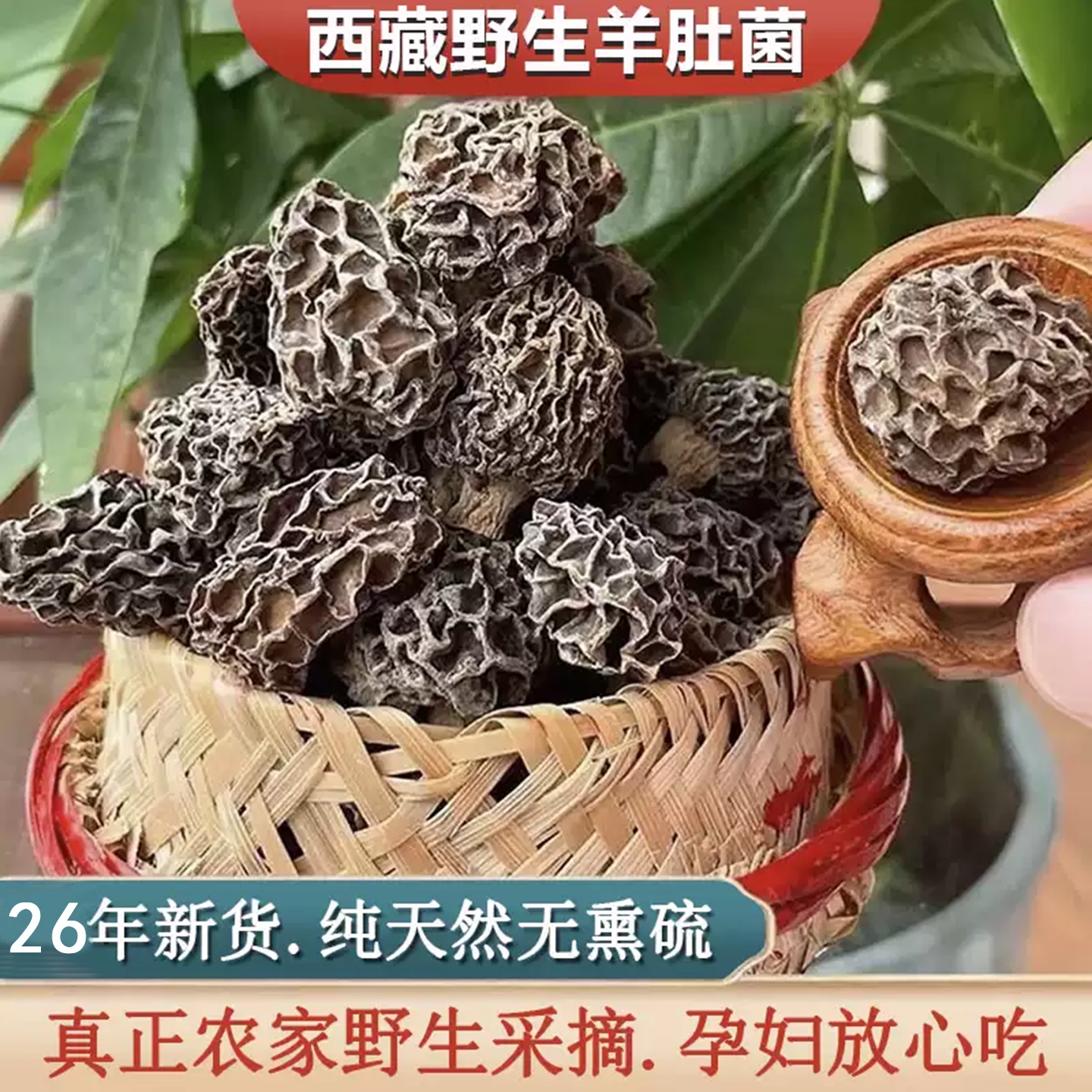 赵露思西藏野生羊肚菌干货特级500g羊肚菇正品羊肚茵羊肚蘑干货