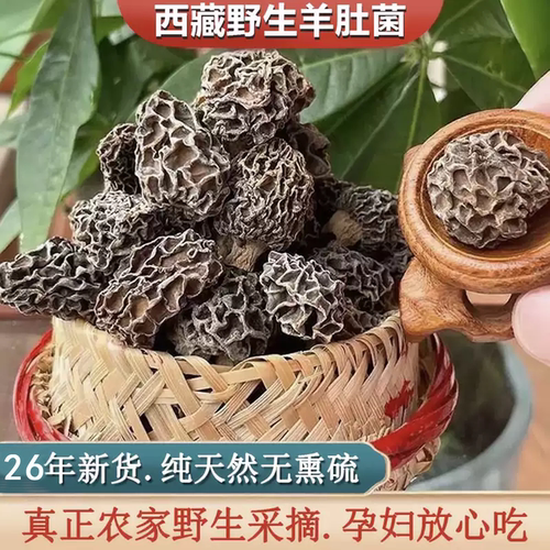 赵露思西藏野生羊肚菌干货500g