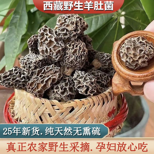 野生羊肚菌头茬干货非云南羊肚菌