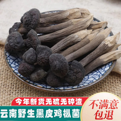 云南黑皮野生鸡枞菌干货