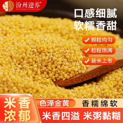 汾州迎养当季新米农家黄小米袋装五谷杂粮粮食小黄米粥米香米油厚