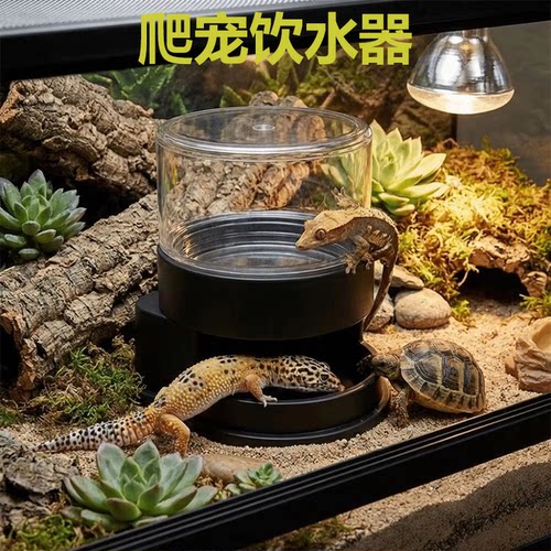 爬宠饲养自动供水饮水器