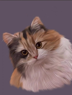 写实宠物手绘狗狗猫咪兔子仓鼠插画漫画动漫设计头像形象照片