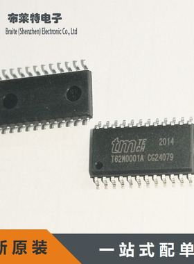 T62M0001A T62M0001A-DG SOP24 原装TMTECH 功放混响芯片