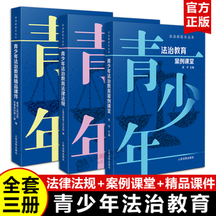 【官方正版】青少年法治教育 法律法规 精品课件 案例课堂 法治副校长丛书 小学初中高中青少年法律普及普法书籍 人民法院出版社