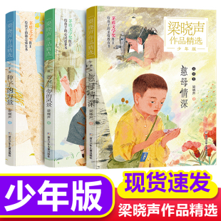 梁晓声作品少年版 精选 茅盾文学家给孩子 正版 亲情教育书儿童文学作品阅读书籍 力量 3册 风景种子 慈母情深老水车旁