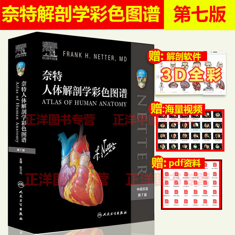 正版现货 奈特人体解剖学彩色图谱第7版奈特第七版 翻译双语 新版 张卫光基础临床医学奈特解刨学图谱奈特图谱解剖学书籍 人卫版怎么看?