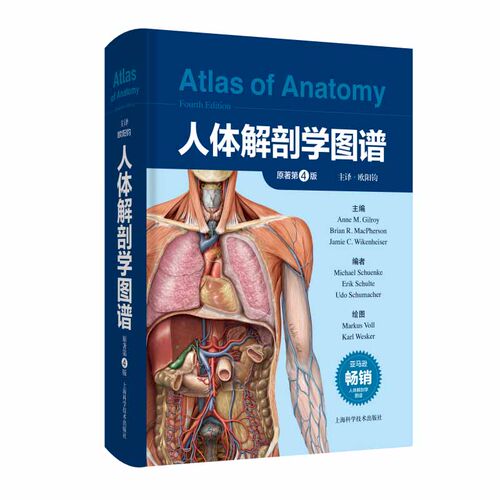 正版2023新书 人体解剖学图谱 原著第4版 Anne M.Gilroy 上海科学技术出版社9787547860731