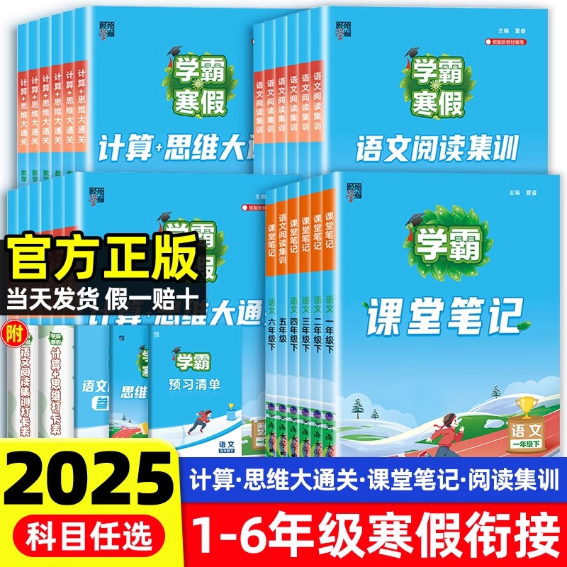 2025春学霸的寒假衔接作业语文阅读集训数学计算思维题大通关小学一二三四五六年级上下册课堂笔记人教北师苏教版同步训练总复预习