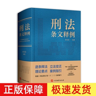 正版2024新 刑法条文释例 余双彪 根据刑法修正案十二编写 注释刑法实用工具书 案例指引实务疑难 中国检察出版社9787510230455