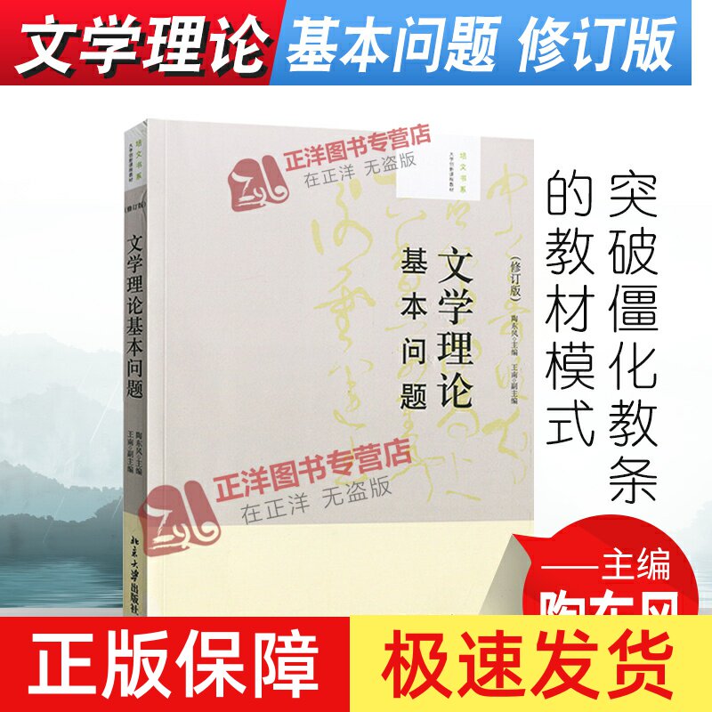 北大正版 文学理论基本问题 陶东风 修订版 文学理论教程 文学理论教程 文学理论教材 大学创新课程教材 大学教材 北京大学出版社图片
