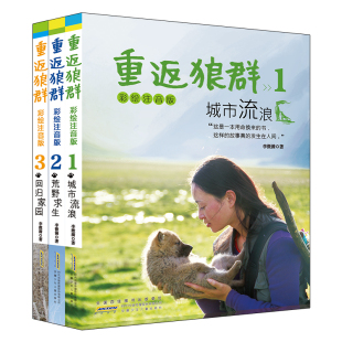 重返狼群彩绘注音版(套装共3册)李微漪 让我陪你重返狼群 千里寻你重返狼群 重返狼群背后的故事 用命换来的故事 人狼传奇