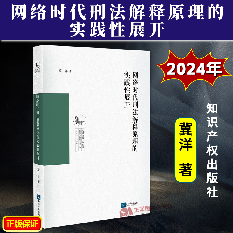 正版2024新书 网络时代刑法解释原理的实践性展开 冀洋 知识产权出版社9787513087667