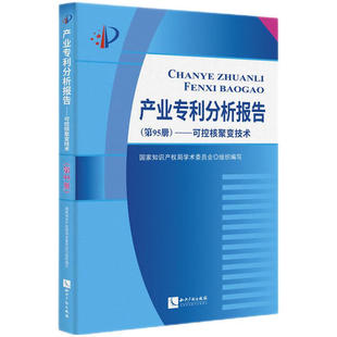 正版2024新书 产业专利分析报告 第95册 可控核聚变技术 国家知识产权局学术委员会 知识产权出版社9787513094221