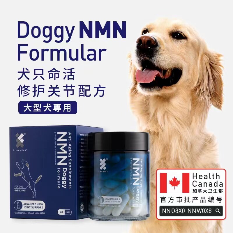 Timeplus+大狗NMN抗老增强免疫护关节提升活力NAD+补充剂60粒/瓶