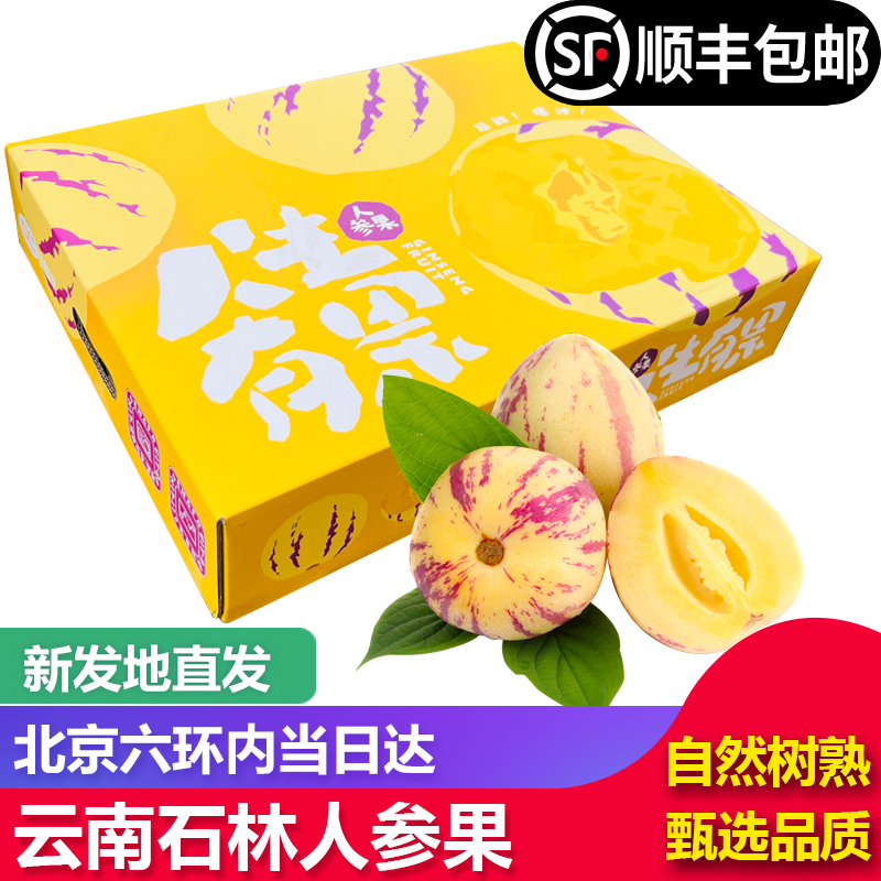【顺丰包邮】云南石林人参果新鲜水果圆果树上熟黄皮特大果礼盒装