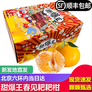 【顺丰包邮】满棠泓甜爆王春见耙耙柑礼盒装柑橘桔子丑柑新鲜水果