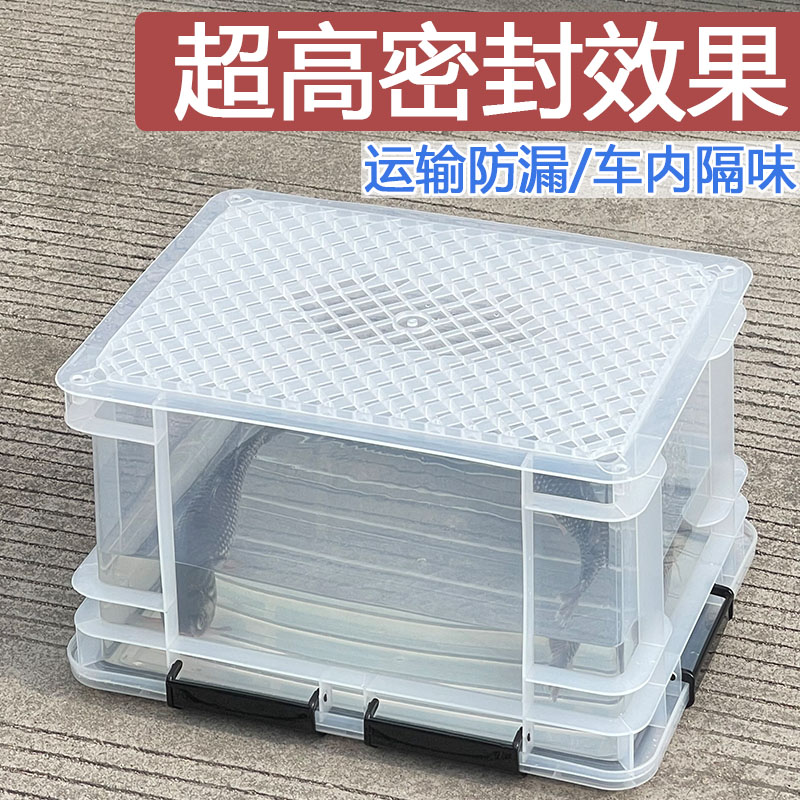 新款装鱼运输活鱼桶车载隔味防漏钓鱼箱溪流野钓箱透明密封收纳箱