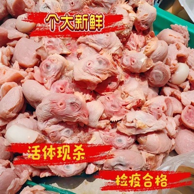 新鲜冷冻发货大鸡头食用公鸡头带大鸡冠特大号散养鸡头烧烤商用品
