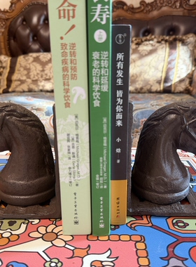 出口欧美铸铁马头书档书房书架书档摆件