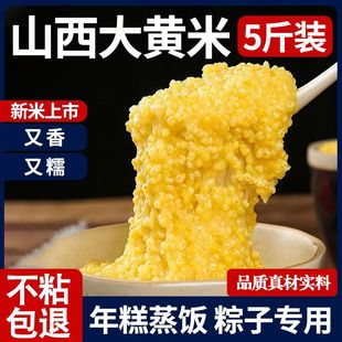 2025年粘糯大黄米新米山西特产黏糯黄米包粽子小米黍米东北软黄米