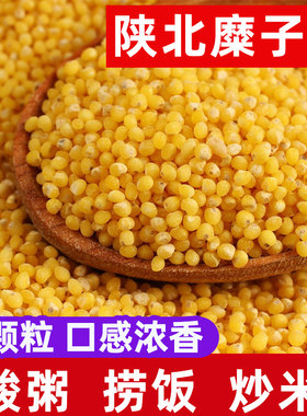 2025年新硬糜子米 硬黄米 稷子米酸捞饭炒米酸粥料蒙古米
