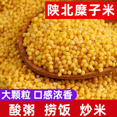 2025年新硬糜子米 硬黄米 稷子米酸捞饭炒米酸粥料蒙古米