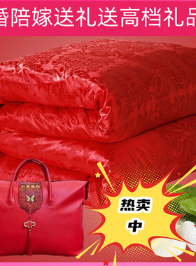蚕丝被结婚被子陪嫁喜被红色婚庆棉被加厚冬被春秋被保暖双人被芯