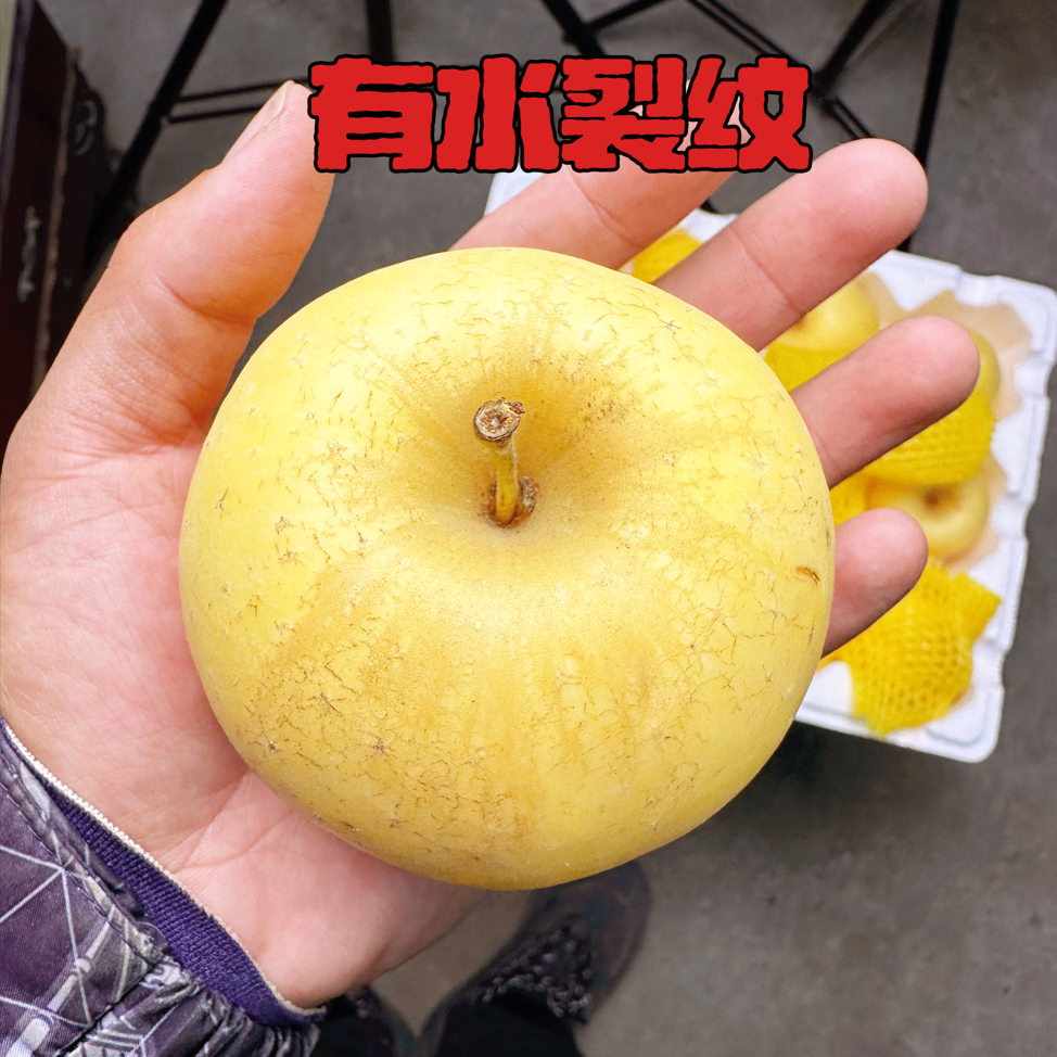 【注意微残果无售后】雀斑美人维纳斯黄金苹果水果有干疤
