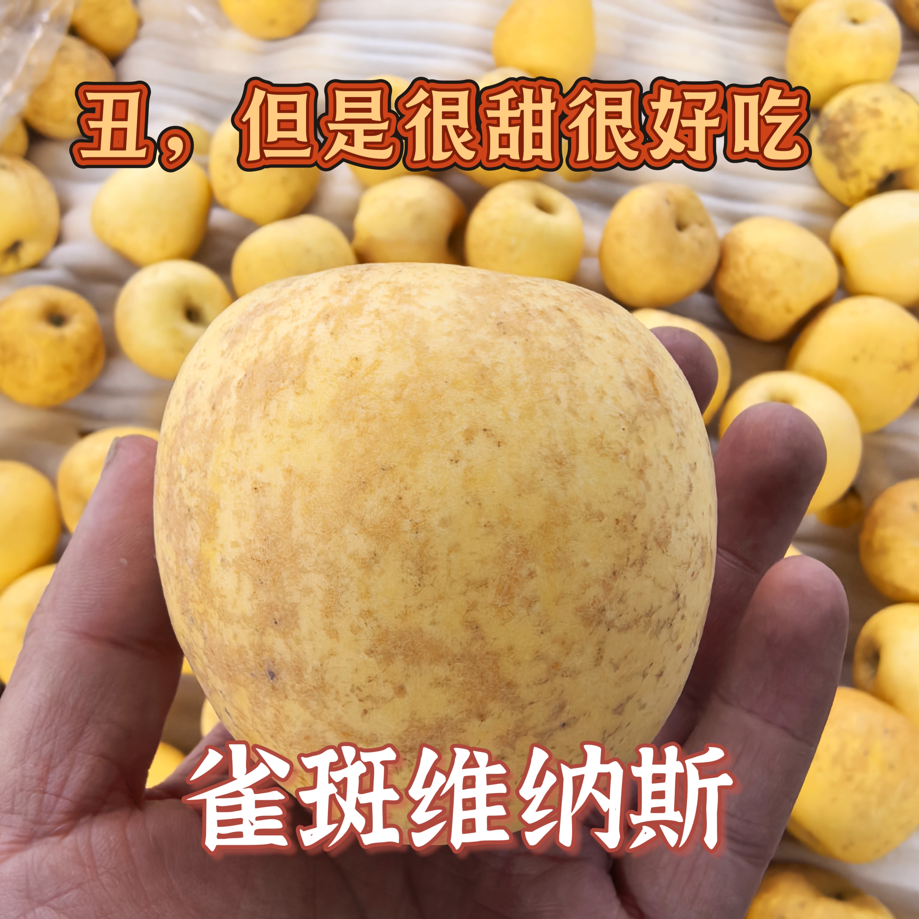 ȸά˹ƻóǺܺóԻиɰ͡ˮƳƻ 70mm-75mm 4.5 25.8Ԫ