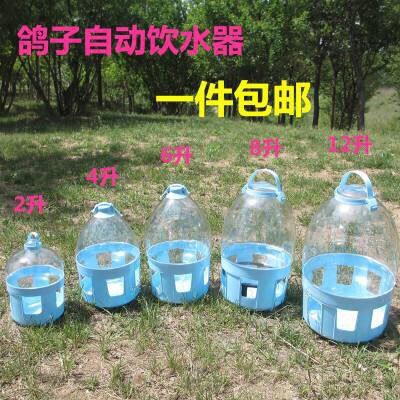 信鸽用品鸽具信鸽饮水器赛鸽饮水壶鸽子用具包邮