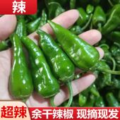 超辣余干辣椒新鲜蔬菜露天皱皮青椒薄皮小米椒正宗爆辣农家土辣椒
