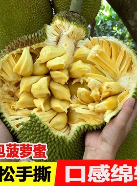 正宗徐闻湿包菠萝蜜当季现摘包邮