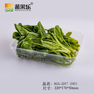 蔬果乐一次性透明塑料生鲜蔬果托盘2217托盘玉米鲜果切水果盒