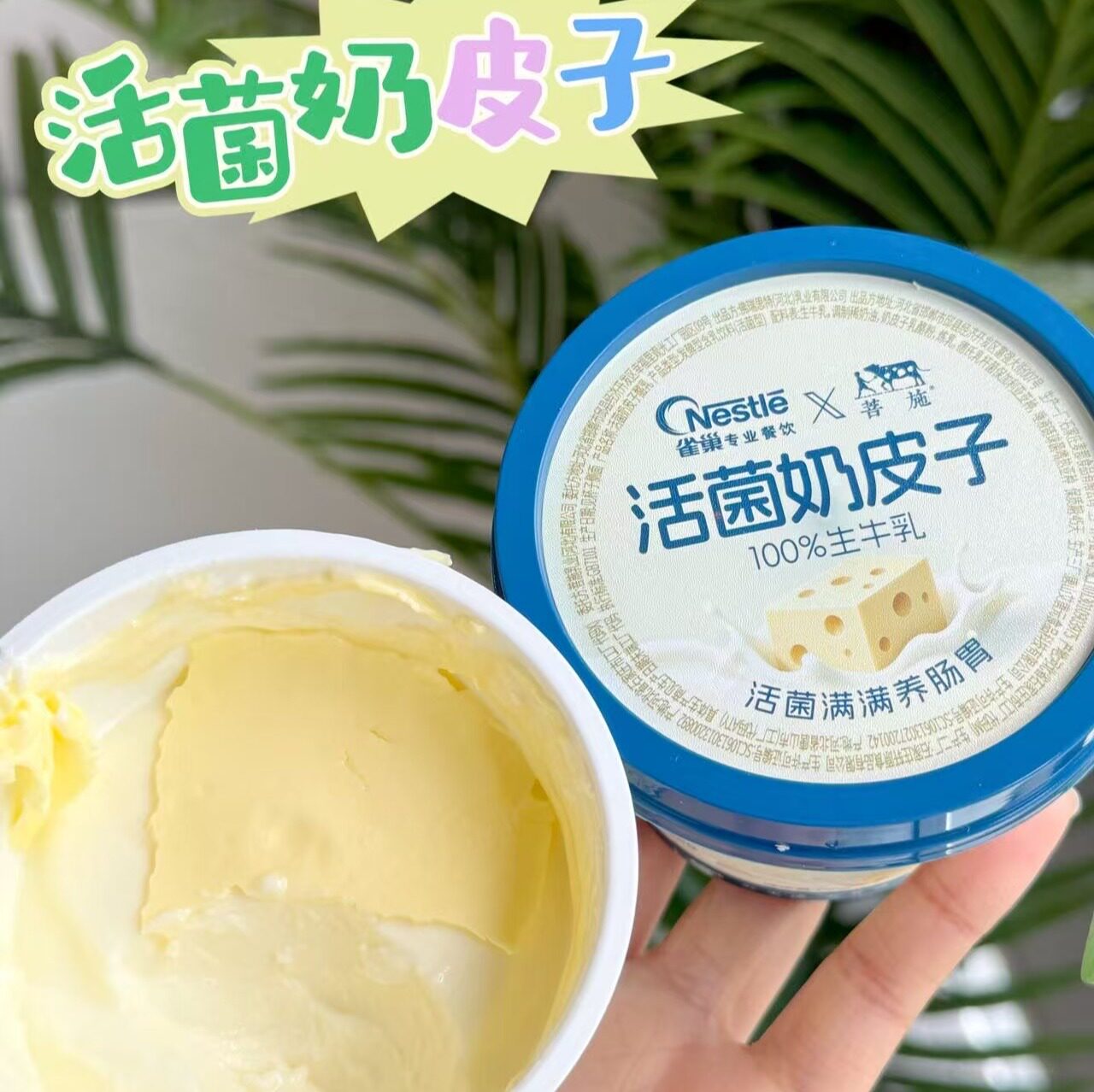 雀巢菩施生牛乳奶皮子酸奶10杯