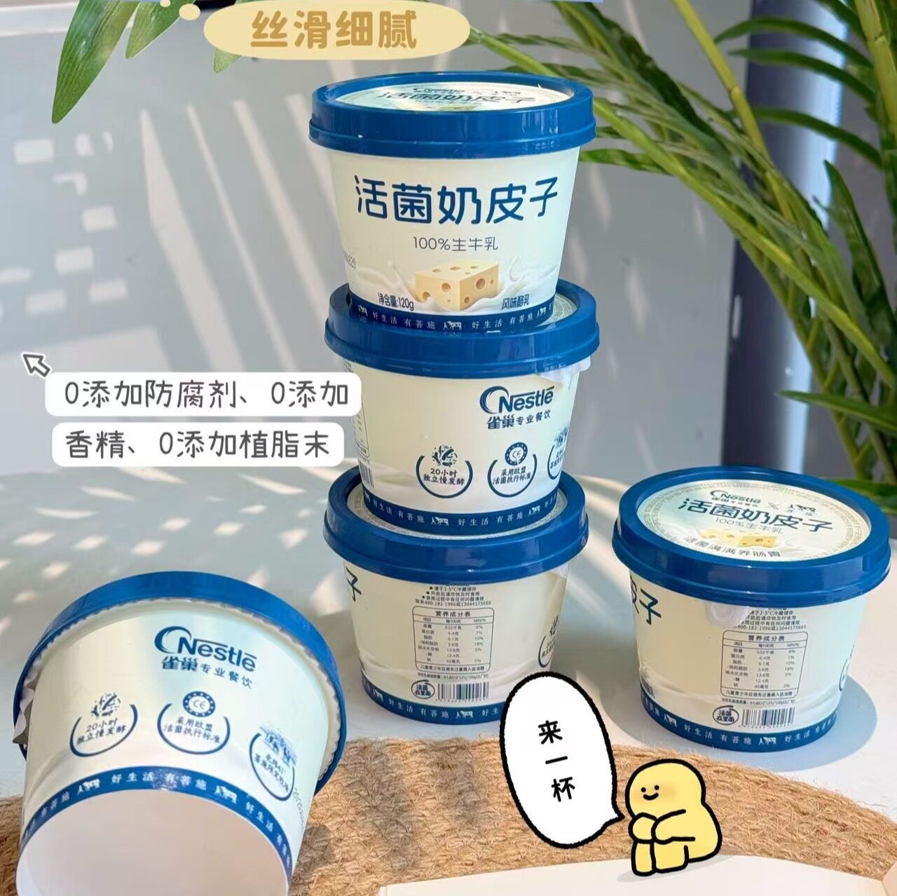 120g*10杯雀巢菩施内蒙生牛乳牧场活菌奶皮子酸奶单杯单酵顺丰